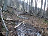 Petrovo Brdo - Slatnik (southeastern peak)